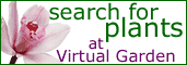 Search for plants at Virtual Garden